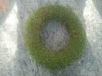 Mohakoszorú alap 15cm